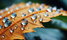 Síndrome do olho seco