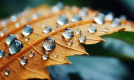 Síndrome do olho seco